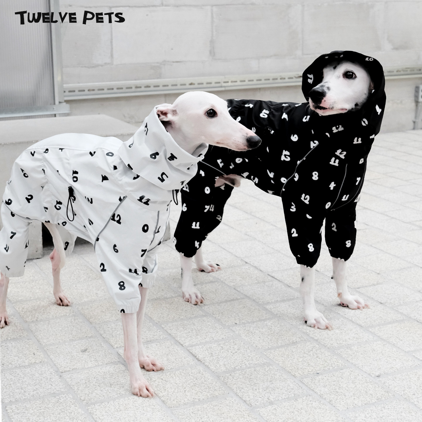 Функция цифровой последовательности TwelvePets - дождевик для четвероногих собак, водонепроницаемый и противообрастающий для собак мелких, средних и крупных пород.