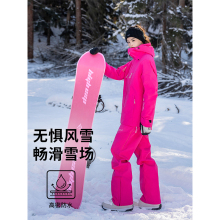 Up to 2023 New Ski Suit Women's Set 3L Fabric Waterproof Single Board Ski Coat Men's American Coat Ski Pants