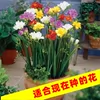 Товары от 海贼大人旗舰店