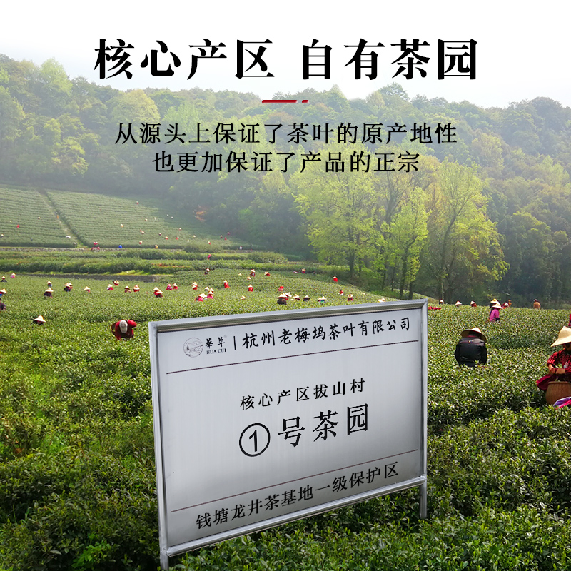 【SF Express】 2025 Новый чай Huacui Green Tea Премиум-класса, Подарочная коробка из чайных листьев Лунцзин, Весенний чай на Западном озере, Подарок для пожилых людей