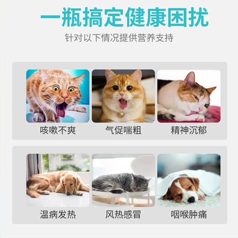 Жидкий питательный раствор для перорального применения Paiwei Cough Kebiqing для домашних собак, кошек и щенков с простудой, кашлем, астмой, мокротой и бронхитом