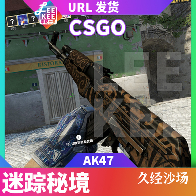 Cs2 Пистолет CSGO AK47 Mysterious Realm Долговечный второй волос T Использование RUSH B Национальный сервер Международный скин