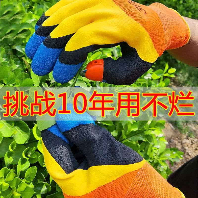 New generation multi-functional thumb knife gloves picking peppers vegetables beans farmers