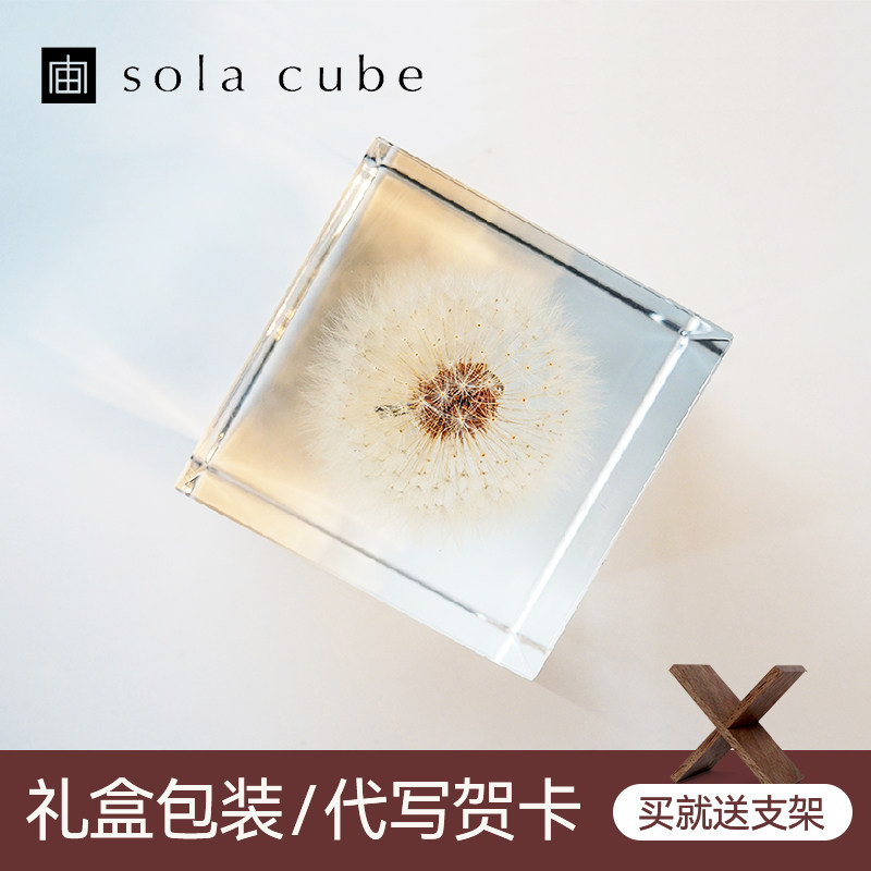 Образец одуванчика Sola cube, импортированный из Японии, креативное украшение рабочего стола, высококлассный нишевый подарок на день рождения