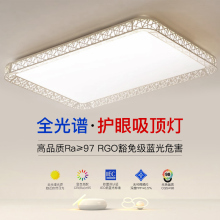 SF Free Shipping LED Ceiling Light, Bedroom Light, Main and Guest Hall Light, Modern and Simple Atmosphere, 2023 New Light Fixtures