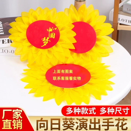 Девять -летняя магазин более 20 цветов танцоров подсолнечника, держащих цветов