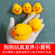 Dog toys make sounds, little yellow ducks, pets grind their teeth, scream, ducks, little dogs, Teddy showers, toys, enamel, scream, ducks