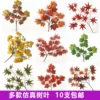 Товары от 阳光花卉