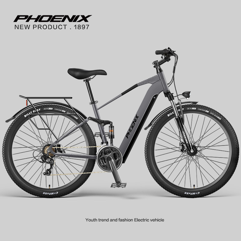 Phoenix 48v литиевая батарея из алюминиевого сплава электрический велосипед для мужчин и женщин, аккумуляторная батарея для взрослых, автомобильный электрический велосипед