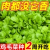 Товары от 临雅旗舰店