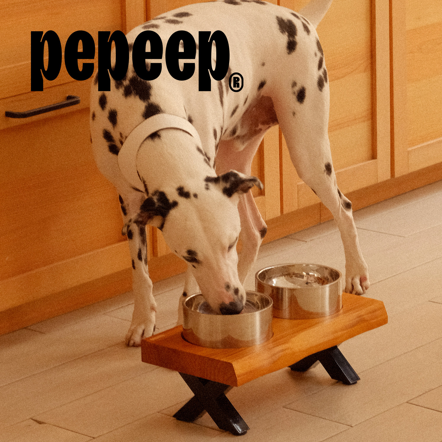 pepeep pet глянцевая чаша из нержавеющей стали с двухслойной теплоизоляцией, нескользящая пищевая нержавеющая сталь марки 304, новая чаша для домашних животных