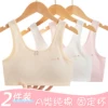 Товары от 启春服饰专营店