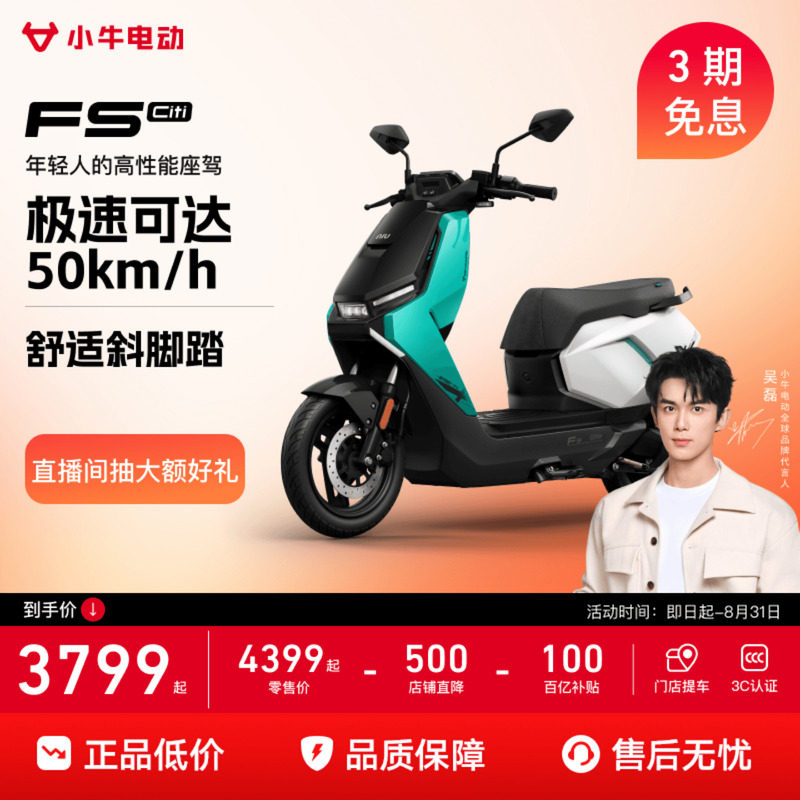 Электрический мопед Mavericks FS Citi smart с длительным сроком службы батареи, высокоскоростной электрический мопед для перевозки аккумуляторов на вынос