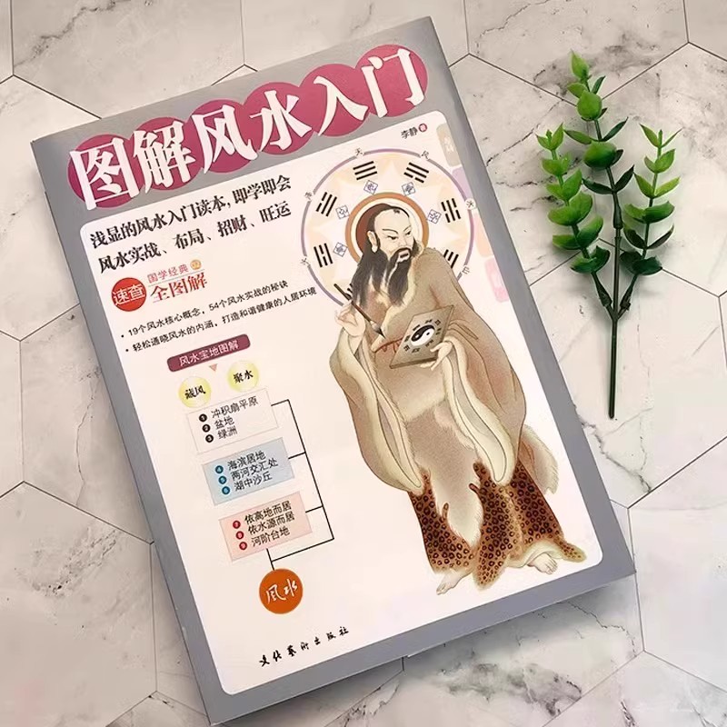 [Официальный подлинник] Введение в иллюстрированный фэн-шуй, книга для понимания метафизики домашнего фэн-шуй, таинственная культура, Книга перемен, планировка Мэйхуа, число Бу Гуа, планировка дома Инь и ян, предсказание по фэн-шуй, Чжоуйи Фэн. Книги по шуй, коллекция для самостоятельного изучения, вводные книги