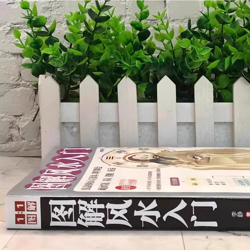 [Официальный подлинник] Введение в иллюстрированный фэн-шуй, книга для понимания метафизики домашнего фэн-шуй, таинственная культура, Книга перемен, планировка Мэйхуа, число Бу Гуа, планировка дома Инь и ян, предсказание по фэн-шуй, Чжоуйи Фэн. Книги по шуй, коллекция для самостоятельного изучения, вводные книги