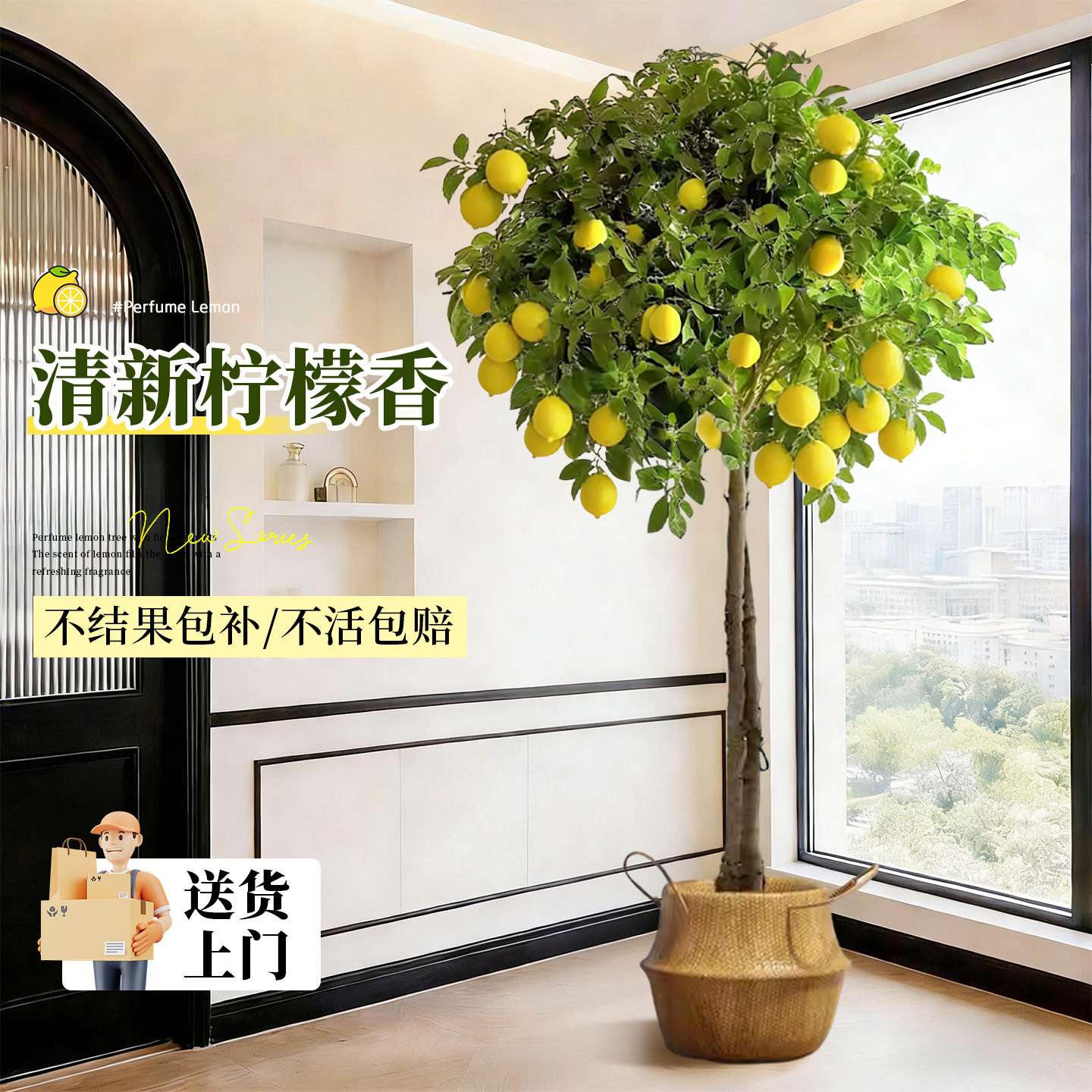 Ароматное лимонное дерево Four Seasons, растение в горшке с фруктами, съедобные зеленые растения Ванчжай, комнатные большие растения, которые легко выращивать на балконе гостиной