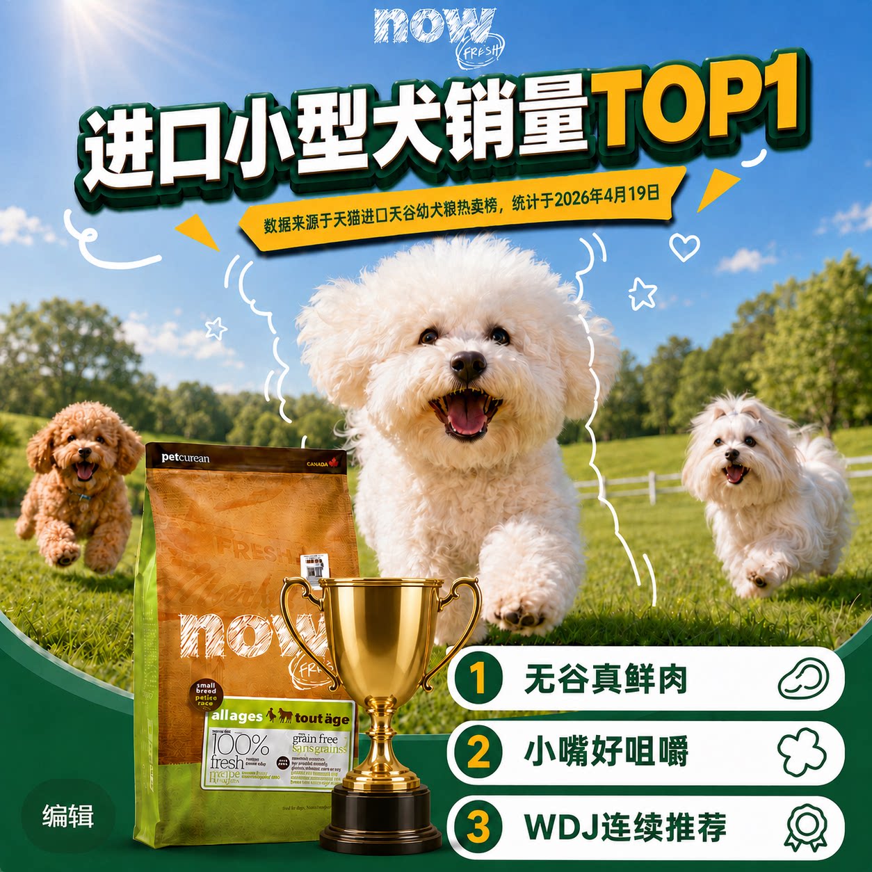 [Официальный флаг] Корм для собак NowFresh для маленьких собак, импортный корм для взрослых щенков Тедди Бишон, четырехлистный клевер, мелкозернистый корм для собак