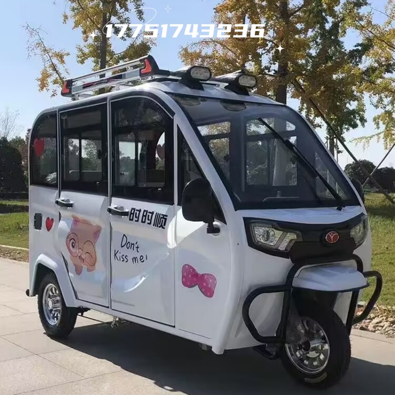 Полностью закрытый электрический трехколесный велосипед бытовой с навесом для перевозки взрослых дам небольшой дополнительный аккумуляторный автомобиль национального стандарта
