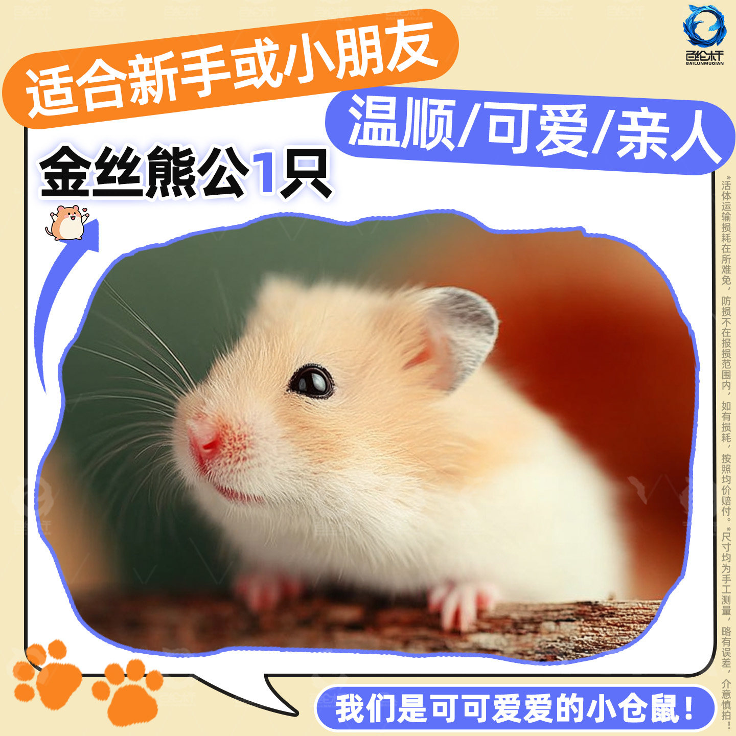 [Hamster SF] Домашний хомячок, Живое животное, Золотой шелковый медведь, Домашний милый питомец, самец и самка Циканга, послушные родственники, не сопротивляются