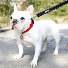 狗狗铃铛项圈中小型犬铜柯基