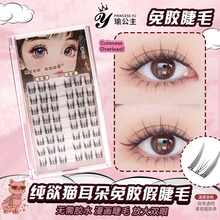 Pure Desire Cat Elf No Glue No Unloading False Eyelash Soft and Natural Simulation Segmented Comic Eyelash Super Soft and Warm Feeling