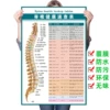 Товары от 上海沃信喷画