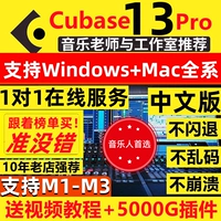 Cubase13pro/12/11/10/8,5/Китайская полная версия