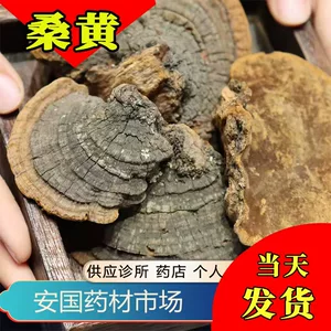 Phellinus linteum 500 г Лекарственные материалы Phellinus linteus Phellinus linteus Phellinus linteus Phellinus linteus Phellinus linata Anguo Рынок лекарственных материалов Бесплатная доставка