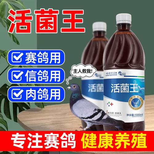 Четырех -летящий старый магазин Три цвета голубей голубей короля голуби. Продукты непигеновое лекарство обычно больного кишечного табурета Специальный табурет Зеленый табурет Семинарии безмятежно