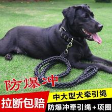Dog traction rope, large and medium-sized dog walking rope, golden hair Labrador dog chain, collar, pet products