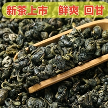 2024 Touchun Biluochun Tea Freshly Returned to Gan Yunnan