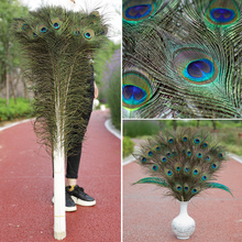 Pure natural peacock feather decoration vase, peacock feather feathers