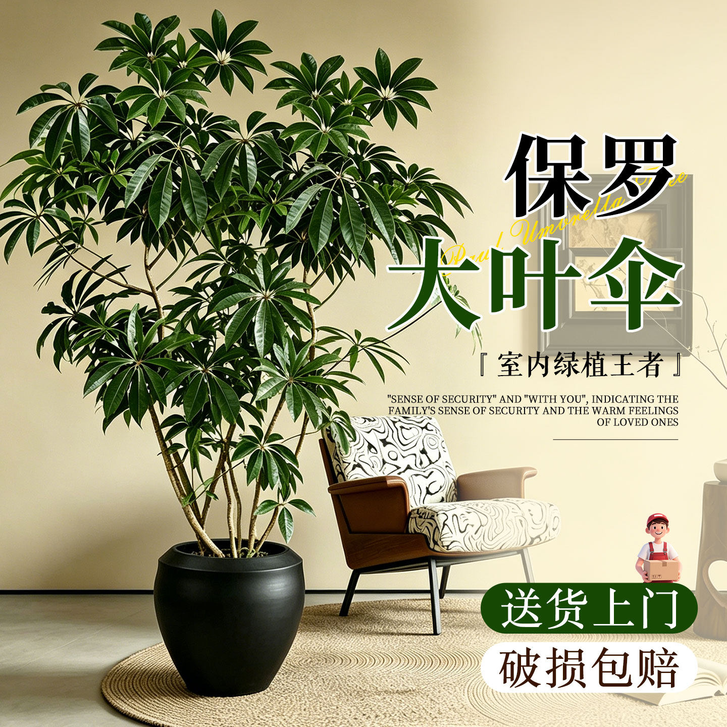 Зонт Paul big leaf umbrella зеленые растения в помещении lucky большие растения в горшках от пола до потолка веранда для гостиной four seasons вечнозеленые растения, любующиеся листьями