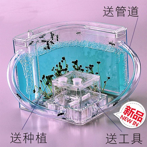 Интеллектуальная игрушка для мальчиков, цвет, подарок на день рождения