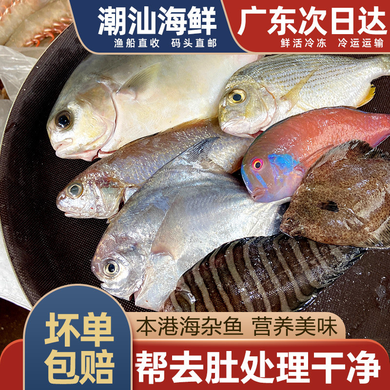 Разнообразная морская рыба, свежие и замороженные морепродукты Чаошань, водный помфрет, желтая рыба, сардины, плоская рыба, Инге, разнообразные сочетания морской рыбы