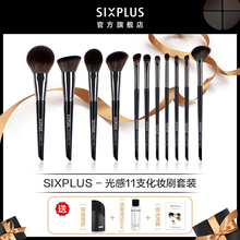 SIXPLUS/Xipuxi 11 Pcs Makeup Brush Set Special Horse Hair eye shadow Brush powder blusher Brush Makeup Artist Set Brush