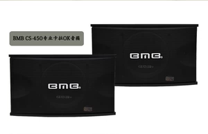 Профессиональный 10 -INCH KTV Audio Family Cara OK Charter Speaker Conference Performance BMB450 Импортный докладчик BMB450