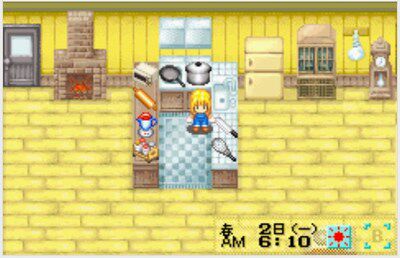 Компьютер PC handheld PSP/PSV/3DS/NDS /GBA Ranch Story Girl архивная модификация Money Sage и т.д.