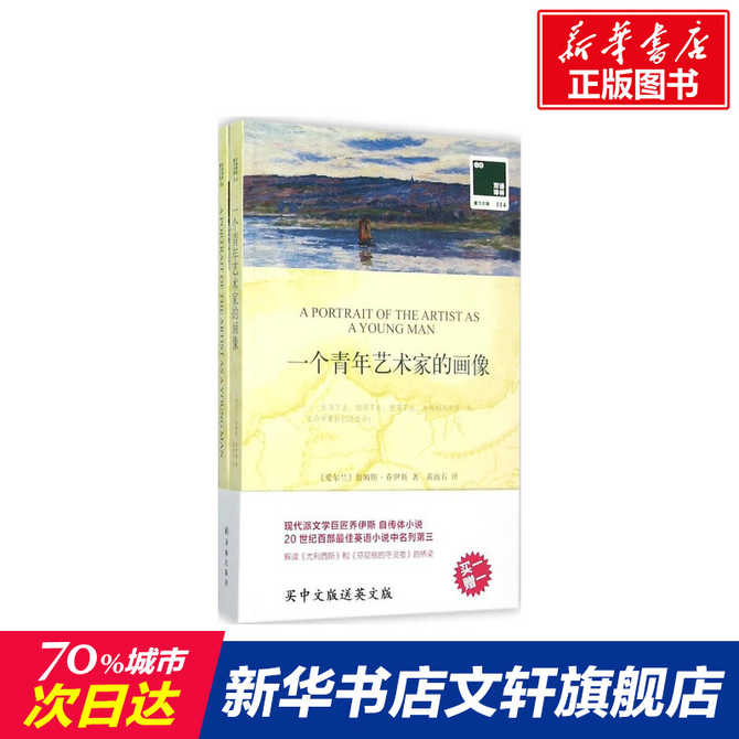 小说的艺术詹姆斯 新人首单优惠推荐 21年3月 淘宝海外