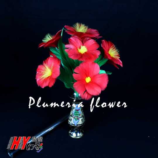 舞台表演花束新品 舞台表演花束价格 舞台表演花束包邮 品牌 淘宝海外