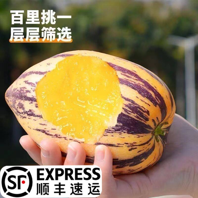 Gansu Desert Ginseng Fruit 5lb Sweet