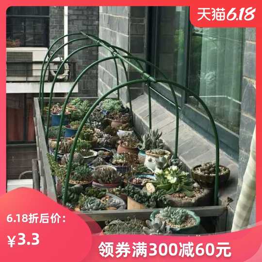 多肉温室棚价格 多肉温室棚种植 多肉温室棚图片 工程 淘宝海外