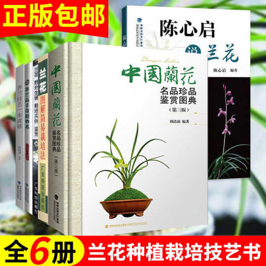 国兰花盆 新人首单优惠推荐 21年4月 淘宝海外