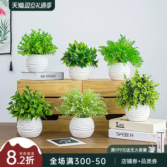 盆栽室内摆设新品 盆栽室内摆设价格 盆栽室内摆设包邮 品牌 淘宝海外 盆栽室内摆设新品 盆栽室内摆设价格 盆栽室内摆设包邮 品牌 淘宝海外