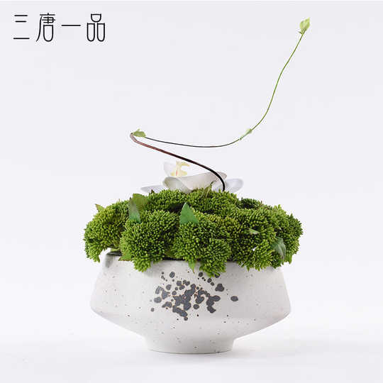 21 植物室内摆设人气热卖榜推荐 淘宝海外 21 植物室内摆设人气热卖榜推荐 淘宝海外