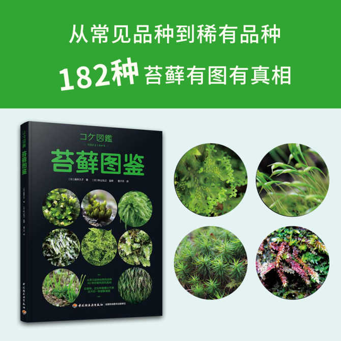 苔球盆 新人首单优惠推荐 21年4月 淘宝海外