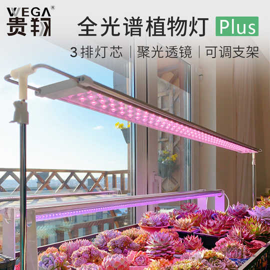 21 多肉植物补光灯人气热卖榜推荐 淘宝海外