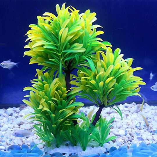 水草及肥料推荐 水草及肥料制作 水草及肥料使用方法 用法 淘宝海外