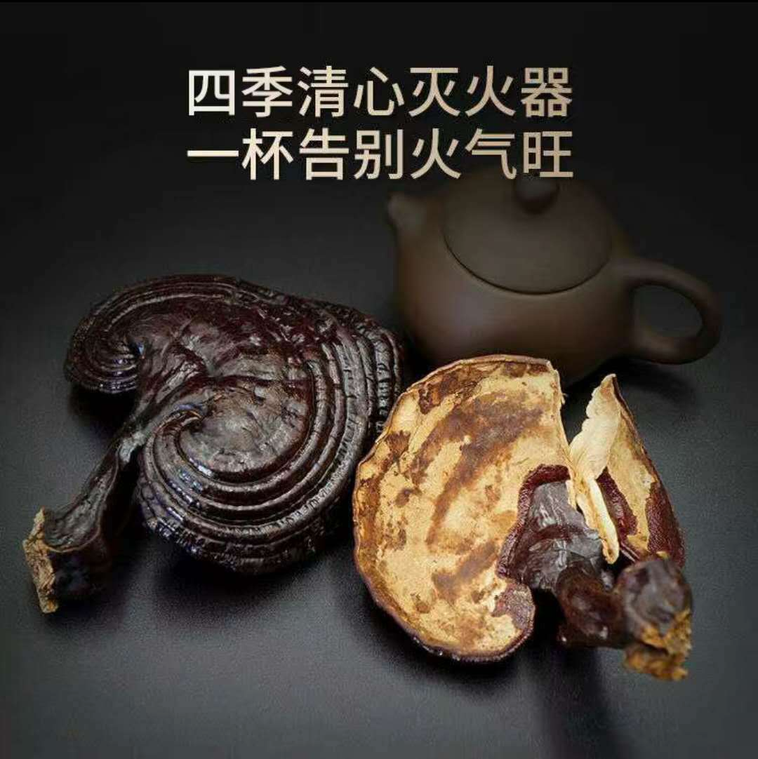 灵芝草野生草功效 灵芝草野生草价格 灵芝草野生草的功效 鉴别 淘宝海外