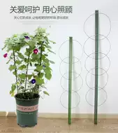 固定花架支柱价格 固定花架支柱种植 固定花架支柱图片 工程 淘宝海外